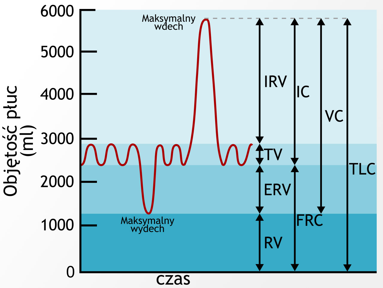 Spirometria