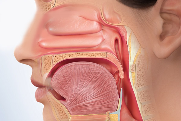 Otolaryngologiczna